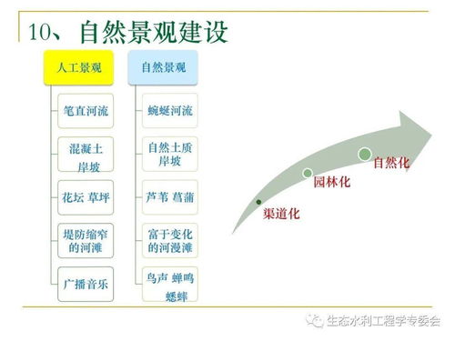 河流生态修复理论技术标准及实践 简要版