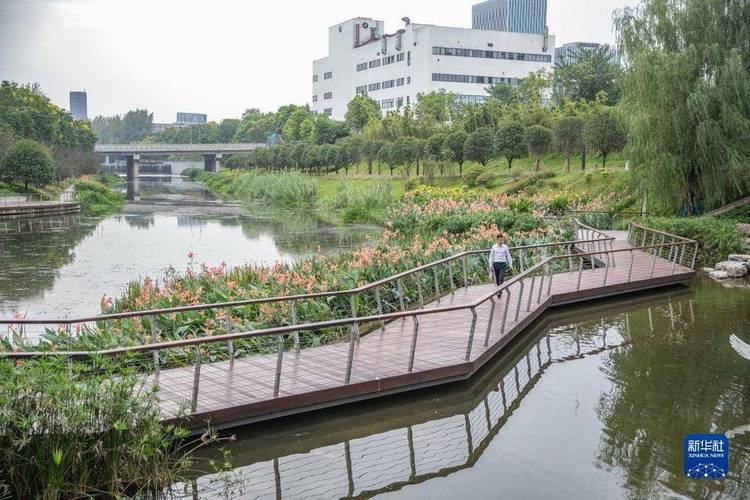 重庆南岸:苦竹溪生态修复显成效