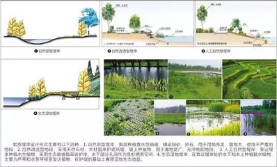 河南省淮阳县中心城区水系重点区域修建性详细规划│天津大学城市规划设计研究院