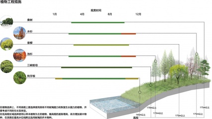 修复脆弱的周期性湿地生态系统