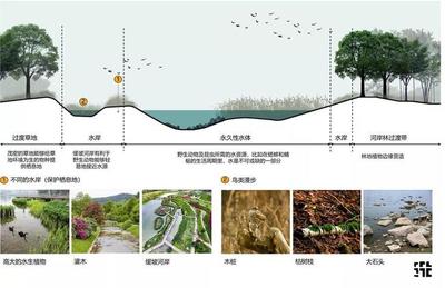 筑土项目丨天人合医,生态绿谷丨中国南阳中医药森林康养示范区